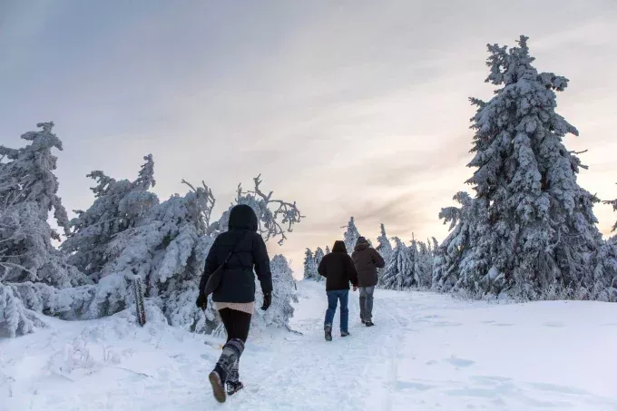 Wanderer in Winterlandschaft mit verschneiten Bäumen